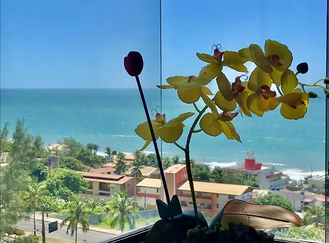Porto Viejo O De Casa Natal Rn